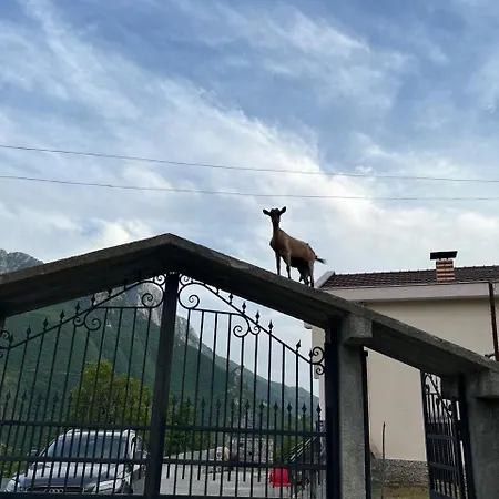 Bujtina Merturi Maison d'hôtes