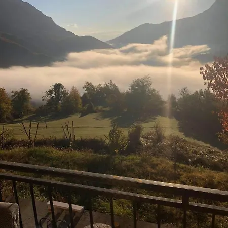Bujtina Merturi