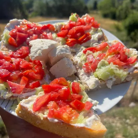 Bujtina Merturi *