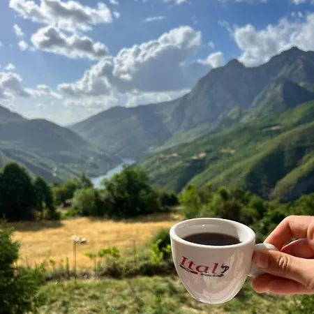 Bujtina Merturi